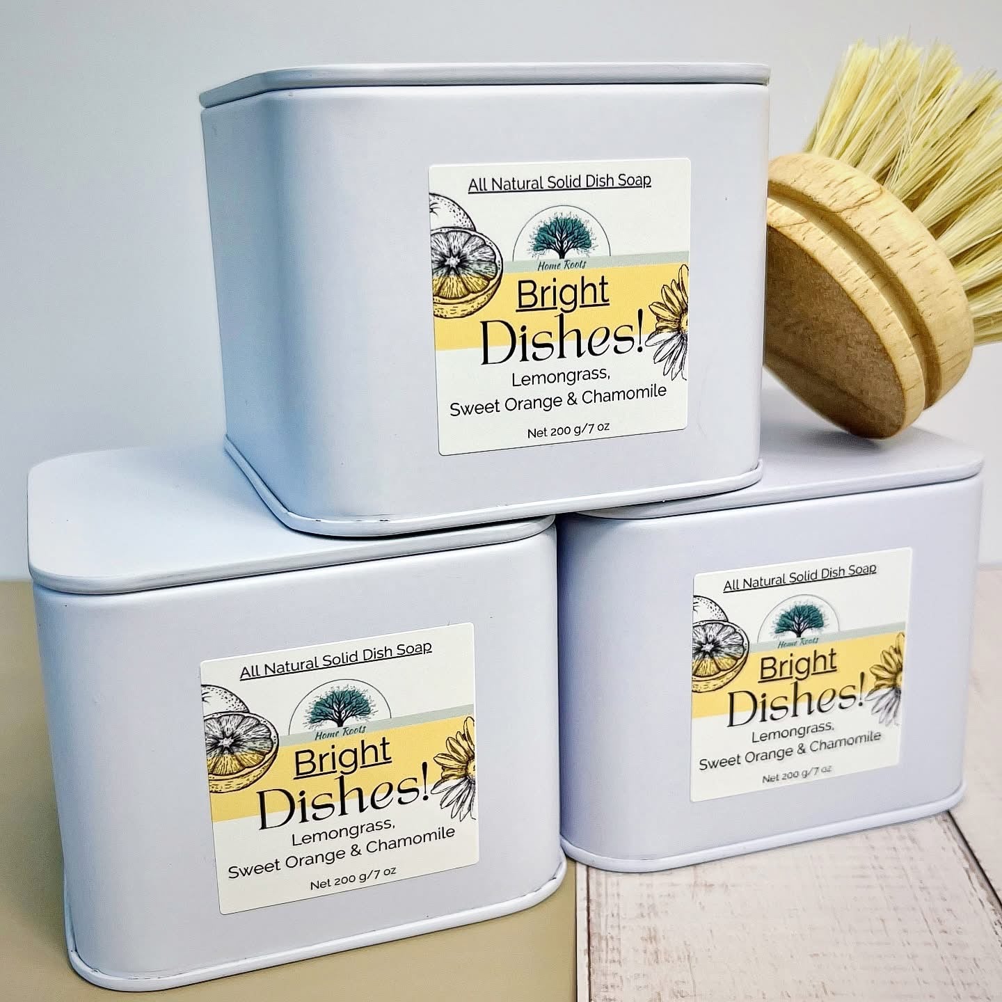 Solid Dish Soap set