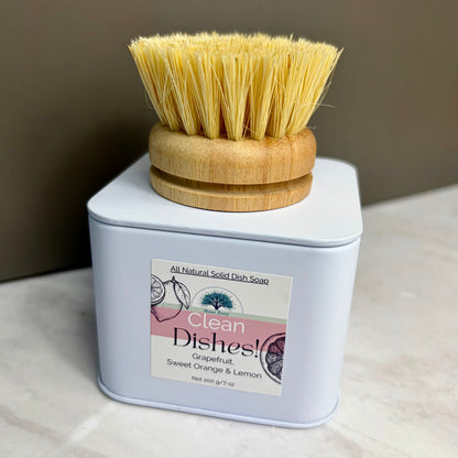 Solid Dish Soap set