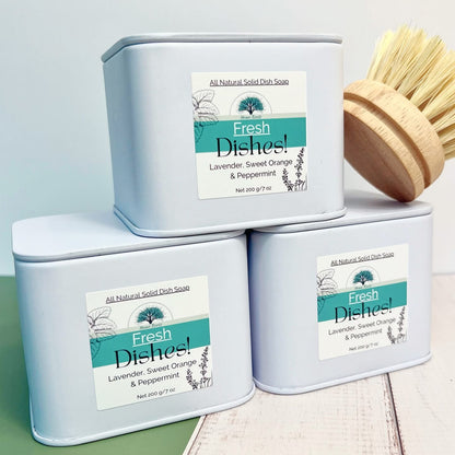 Solid Dish Soap set