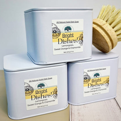 Solid Dish Soap set